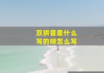 双拼音是什么写的呀怎么写