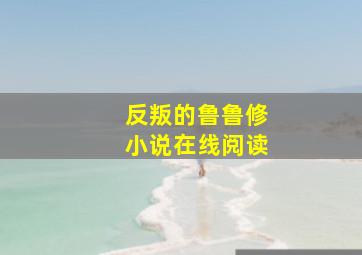 反叛的鲁鲁修小说在线阅读