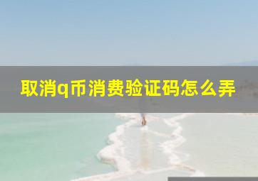 取消q币消费验证码怎么弄