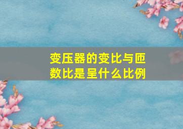 变压器的变比与匝数比是呈什么比例