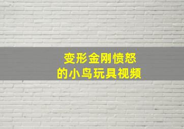 变形金刚愤怒的小鸟玩具视频