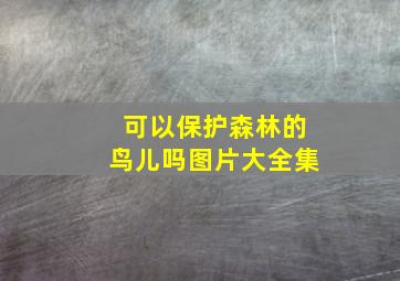 可以保护森林的鸟儿吗图片大全集