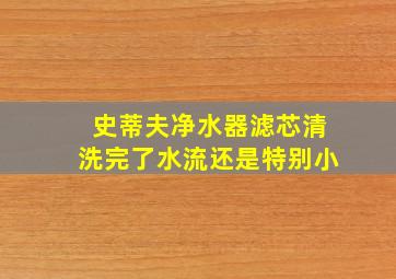 史蒂夫净水器滤芯清洗完了水流还是特别小