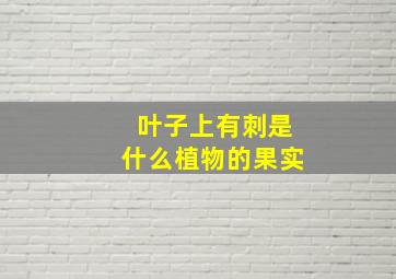 叶子上有刺是什么植物的果实