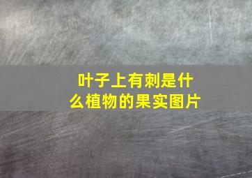 叶子上有刺是什么植物的果实图片