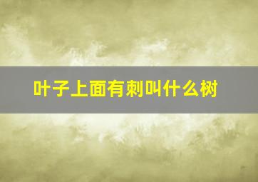 叶子上面有刺叫什么树