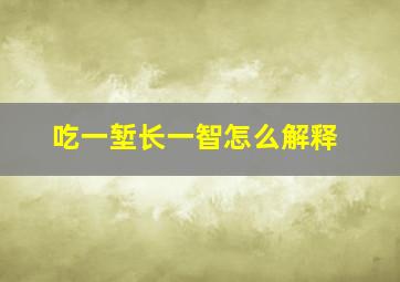 吃一堑长一智怎么解释