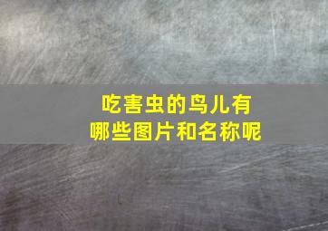 吃害虫的鸟儿有哪些图片和名称呢