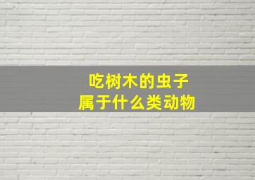 吃树木的虫子属于什么类动物