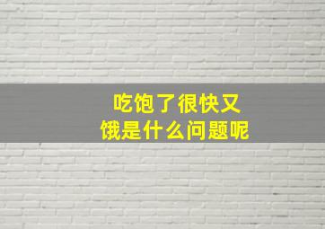 吃饱了很快又饿是什么问题呢