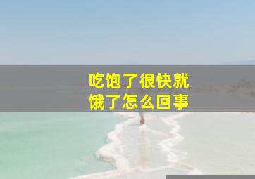 吃饱了很快就饿了怎么回事