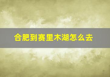 合肥到赛里木湖怎么去