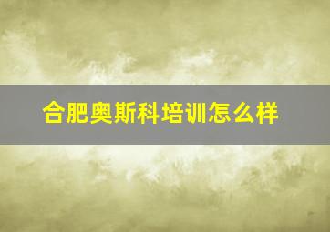 合肥奥斯科培训怎么样