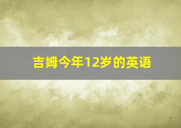 吉姆今年12岁的英语