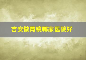 吉安做胃镜哪家医院好