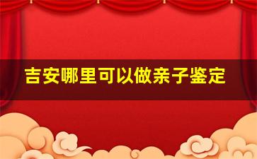 吉安哪里可以做亲子鉴定