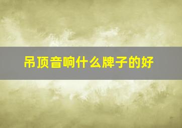 吊顶音响什么牌子的好