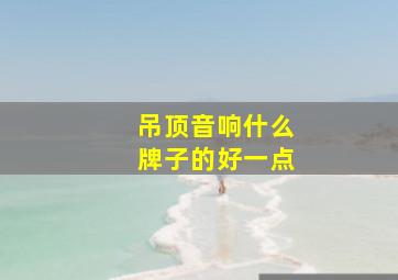 吊顶音响什么牌子的好一点