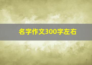 名字作文300字左右