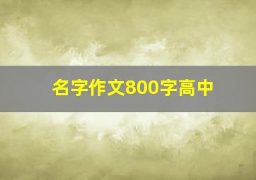 名字作文800字高中