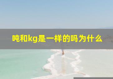 吨和kg是一样的吗为什么