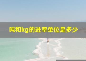 吨和kg的进率单位是多少