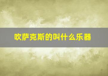 吹萨克斯的叫什么乐器