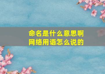 命名是什么意思啊网络用语怎么说的