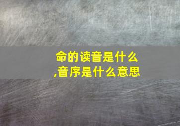 命的读音是什么,音序是什么意思