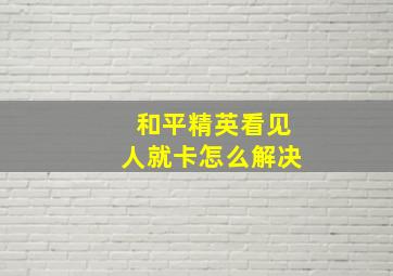 和平精英看见人就卡怎么解决