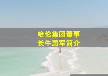 哈伦集团董事长牛惠军简介