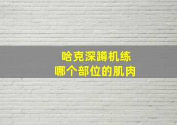 哈克深蹲机练哪个部位的肌肉