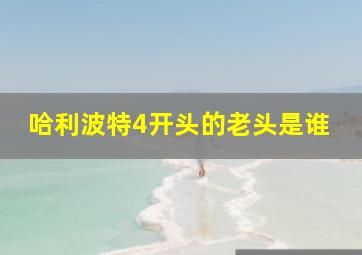 哈利波特4开头的老头是谁