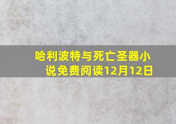 哈利波特与死亡圣器小说免费阅读12月12日