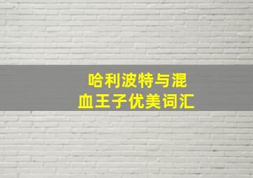 哈利波特与混血王子优美词汇