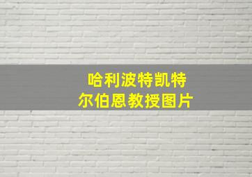 哈利波特凯特尔伯恩教授图片