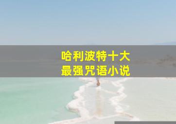 哈利波特十大最强咒语小说