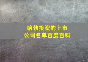 哈勃投资的上市公司名单百度百科