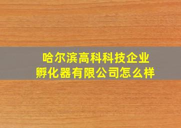 哈尔滨高科科技企业孵化器有限公司怎么样