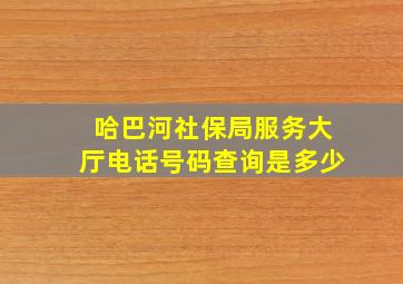 哈巴河社保局服务大厅电话号码查询是多少