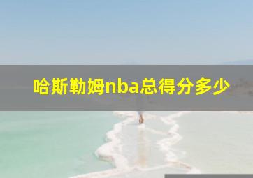 哈斯勒姆nba总得分多少