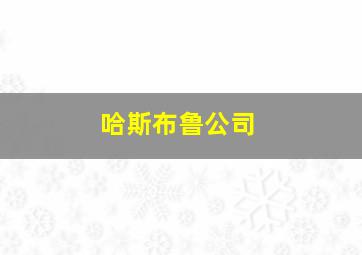 哈斯布鲁公司