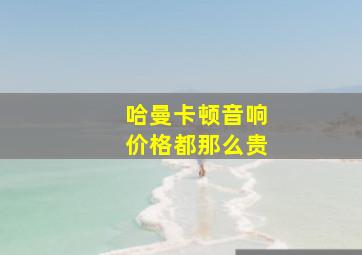 哈曼卡顿音响价格都那么贵