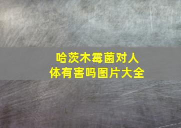 哈茨木霉菌对人体有害吗图片大全