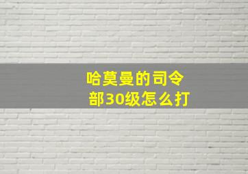 哈莫曼的司令部30级怎么打