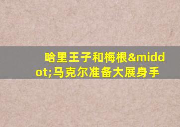 哈里王子和梅根·马克尔准备大展身手