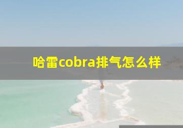 哈雷cobra排气怎么样