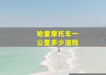 哈雷摩托车一公里多少油钱