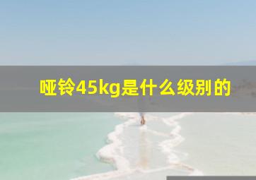 哑铃45kg是什么级别的