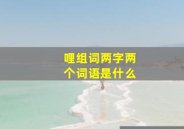 哩组词两字两个词语是什么